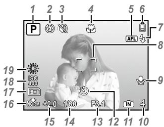 OLYMPUS FE-360 - Shooting mode display - 1