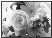 OLYMPUS Μ 1030SW - Playback mode: Changing the picture display - 2