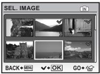 OLYMPUS Μ 1030SW - IMAGE ....Erase by selecting the single-frame - 1