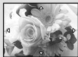 OLYMPUS Μ 1060 - Press the zoom button. - 4