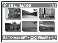 OLYMPUS Μ 720SW - IMAGE ....Erase by selecting the single-frame - 1