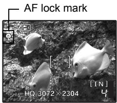 OLYMPUS Μ 720SW - Locking the focus and then composing the shot (focus lock) - 1