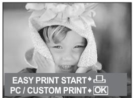 OLYMPUS Μ 720SW - Other print modes and print settings (CUSTOM PRINT) - 1