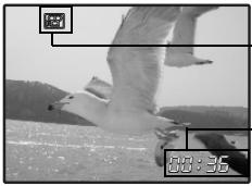 OLYMPUS Μ 720SW - Recording movies - 1