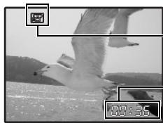 OLYMPUS µ 760 - Enregistrement de vidéos - 1