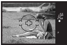OLYMPUS E-450 - While pressing the shutter button halfway, move to the desired composition and press the button all the way. - 1