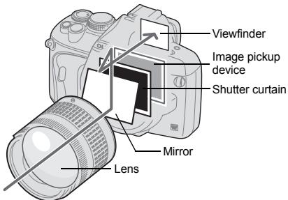 Viewfinder Image pickup device Shutter curtain Mirror Lens