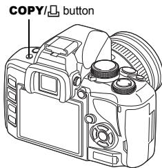 COPY/ button