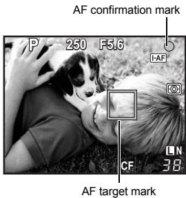 AF confirmation mark P 250 F5.6 I-AF CF 38 AF target mark