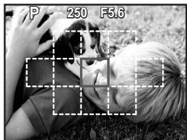 P 250 F5.6