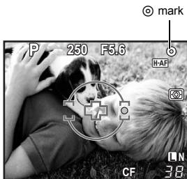 P 250 F5.6 mark HF CF 38