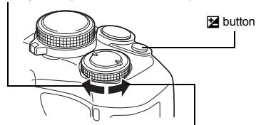 button