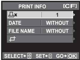 PRINT INFO [CF] 1 DATE WITHOUT FILE NAME WITHOUT SELECT→ SET→ GO→ OK