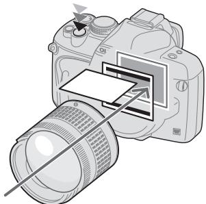 OLYMPUS E-450 - Camera status during AF - 1