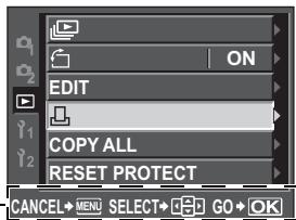 ON EDIT COPY ALL RESET PROTECT CANCEL→MENU SELECT→GO→OK