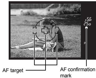 AF target AF confirmation mark
