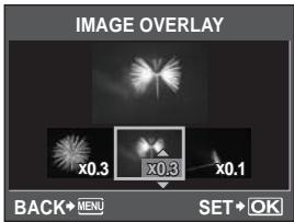 OLYMPUS E-620 - Image overlay - 2