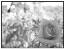 OLYMPUS E-620 - A - 1