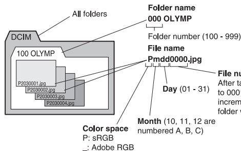 OLYMPUS E-620 - FILE NAME - 1