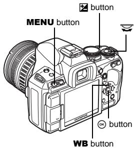 OLYMPUS E-620 - Setting display - 3