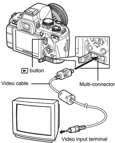 OLYMPUS E-620 - Playback on TV - 1