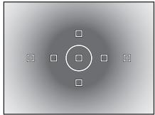 OLYMPUS E-620 - Center weighted averaging metering - 1