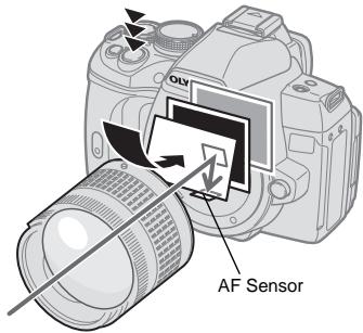 OLYMPUS E-620 - Camera status during AF - 2