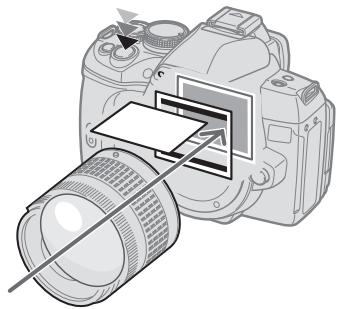 OLYMPUS E-620 - Camera status during AF - 1