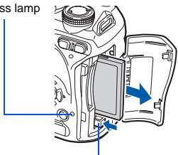 OLYMPUS E-620 - xD-Picture Card - 1