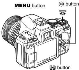 OLYMPUS E-620 - Viewfinder - 2