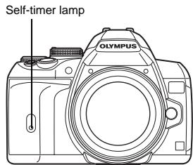 OLYMPUS E-620 - Press the shutter button all the way. - 1