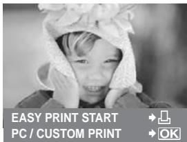 OLYMPUS E-620 - Easy printing - 1