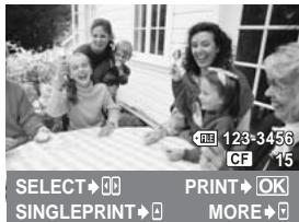 OLYMPUS E-620 - Selecting pictures you want to print - 1