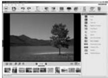 OLYMPUS E-620 - Click the "Album" tab on the browse window and select the album that you want to view. - 2