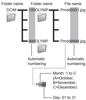 OLYMPUS STYLUS TOUGH 8000 - Resetting the file name numbers of pictures [FILE NAME] - 2