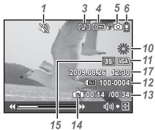 OLYMPUS STYLUS TOUGH 8000 - Playback mode display - 2
