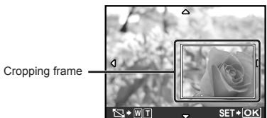 OLYMPUS STYLUS TOUGH 8000 - EDIT - 1