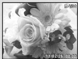 OLYMPUS TG-310 - Press the zoom buttons. - 2