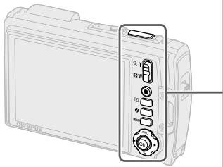 Diagram of a digital camera module with labeled buttons and display screen