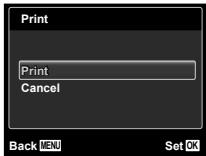Print Print Cancel Back MENU Set OK