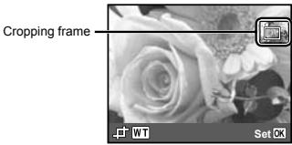 OLYMPUS TG-610 - Cropping image [☐] - 1