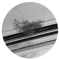 OLYMPUS PFL-E01 - For Prevention of Water Leakage Accidents - 2