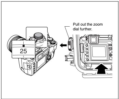 OLYMPUS PPO-E01 - Loading the Camera and Lens - 4