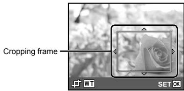 OLYMPUS T-100 - Cropping images [☐] - 1