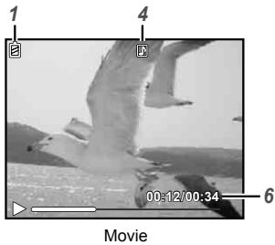 OLYMPUS T-100 - Playback mode display - 2