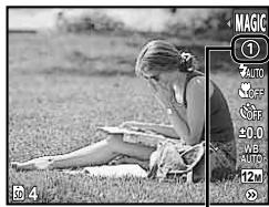 OLYMPUS T-100 - Use ◀▶ to select the desired effect and then press the OK button to set. - 1