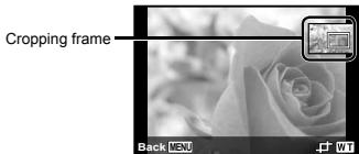 OLYMPUS TG-1 - To crop an image [☐] - 1
