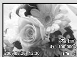 OLYMPUS Μ-550WP - Press the zoom button. - 2