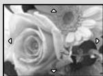 OLYMPUS Μ-550WP - Press the zoom button. - 4
