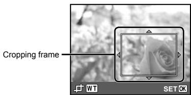 Cropping frame WT SET OK